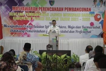 Pemkab Pesisir Selatan susun RPJMD tahun 2021-2026