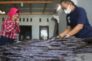 BI NTB memperkuat klaster vanili organik di kaki Gunung Rinjani