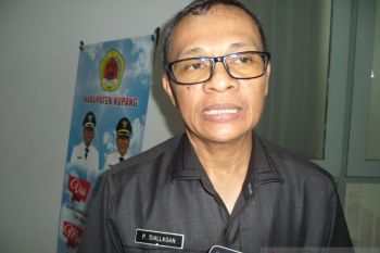Program READSI tingkatkan produksi padi petani