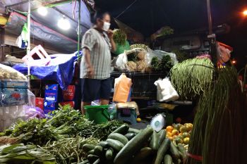 Pemerintah pastikan stok bahan pangan cukup selama Idul Adha