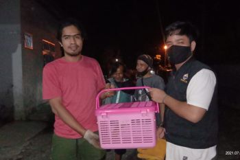 Resor KSDA Agam terima satwa kukang dari polisi