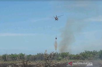 Dua helikopter dikerahkan ke lokasi kebakaran hutan lahan di Riau