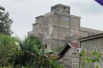 Usaha burung walet di Inhu tidak kantongi izin