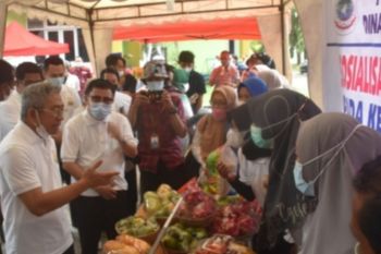 Gubernur Sulbar minta masyarakatnya kembangkan pangan lokal