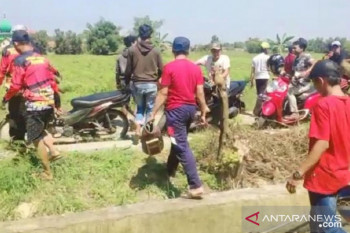 Karapan kelinci di Sampang dibubarkan saat PPKM Darurat