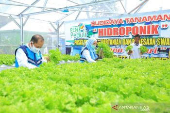 PLN salurkan Rp4,8 miliar bantu petani di 54 lokasi