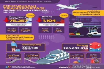Penumpang domestik melalui bandara Baubau turun 26,28 persen