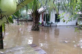Banjir landa 40 desa di Aceh Jaya