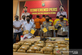 Polisi sita 50 kg ganja dari kaki tangan bandar Sumut