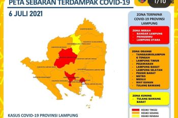 Kasus positif COVID-19 di Lampung bertambah 266 orang