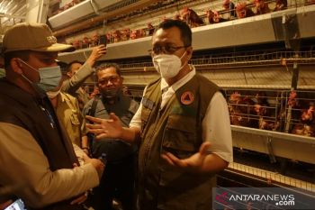 NTB berpeluang menjadi daerah swasembada telur dan daging nasional