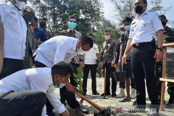 Jambore PKK tingkat Sumbar tanam 100 batang pohon di pantai Pariaman