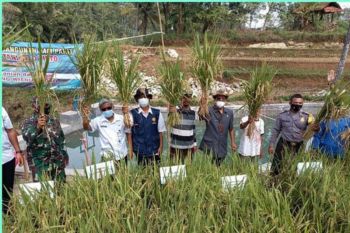 Gunung Kidul bangun damparit Sawahan airi sawah 25 Ha