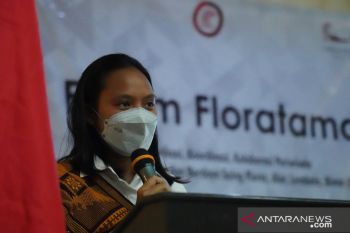 Empat isu terkait Labuan Bajo jadi destinasi super premium menurut BPOLBF