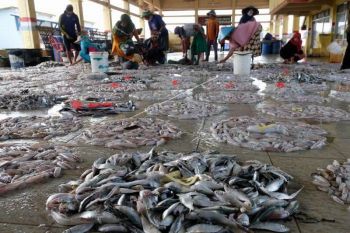 Harga ikan turun