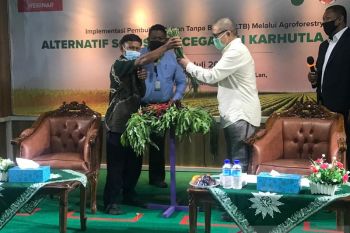 Saatnya Herman menikmati hasil membuka lahan tanpa membakar