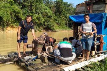 Dalam tiga hari, Polres tangkap empat pelaku tambang emas tanpa izin