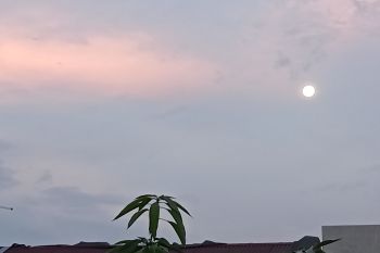 Unismuh Makassar akan pantau hilal bulan Dzulhijjah dengan teleskop