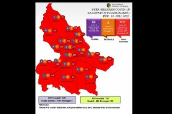 Seluruh kecamatan di Tulungagung berstatus zona merah