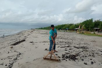 Limbah hitam berminyak cemari wisata pantai di Lampung Timur