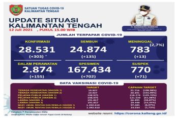 Penambahan konfirmasi positif COVID-19 Kalteng capai 303 orang dan meninggal 13 orang