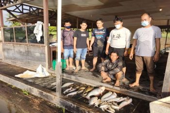 Polres Barut tangkap pelaku 'ilegal fishing' di Sungai Barito