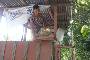 Kreatif, warga Palupuah gunakan kuali perkuat sinyal internet untuk belajar daring anak