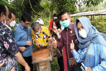 UPT-KPHP Katingan diminta bimbing warga membudidayakan Madu Kelulut