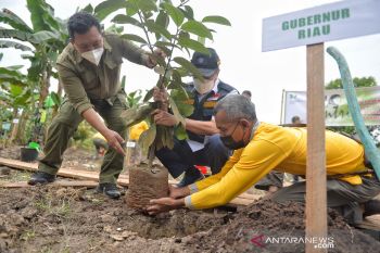 Serahkan 10.000 bibit pohon dan uang pembinaan, Gubri gaungkan santripreneur