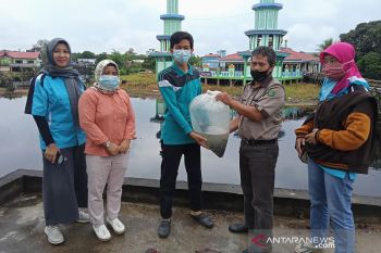 DKPPP Barsel tebar 20 ribu bibit ikan di perairan Desa Pamait