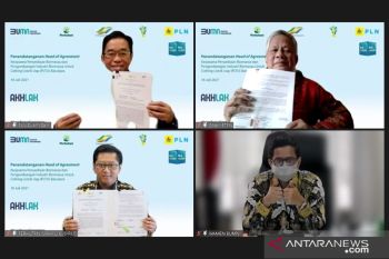 Sinergi 3 BUMN mewujudkan industri biomassa