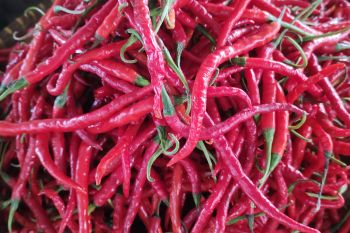 Jelang Idul Adha harga cabai merah di Bandarlampung naik jadi Rp45.000