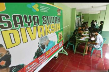 Warga positif COVID-19 di Sulteng  tambah 233 orang, 100 lainnya sembuh