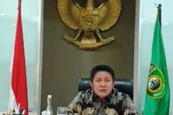Gubernur Sumsel ajak petani tekan  angka losis saat panen