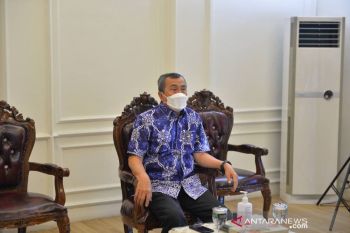 Galang lelang lukisan untuk bantu penanganan pandemi di Riau