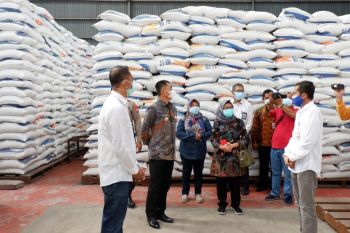 Bulog DIY salurkan beras 10 kilogram untuk 95.371 KPG Gunung Kidul