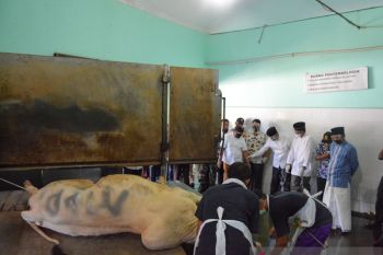 Baznas Kota Yogyakarta masih buka pendaftaran kurban di RPH Giwangan