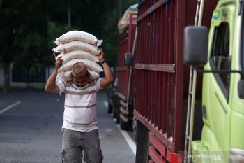 Bantuan beras PPKM  untuk warga di Sulteng mulai disalurkan