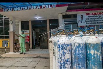 Warga terpapar COVID-19 di Sulteng bertambah 273 orang,  49 pasien embuh