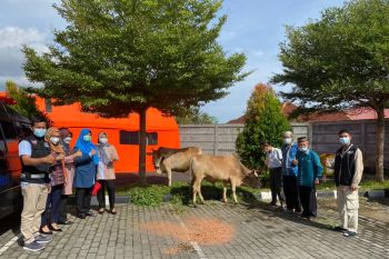 Yayasan Semen Padang - SPH salurkan kurban untuk masyarakat  sekitar