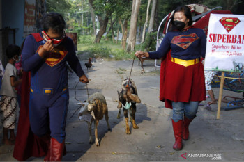 Super Hero antarkan hewan kurban