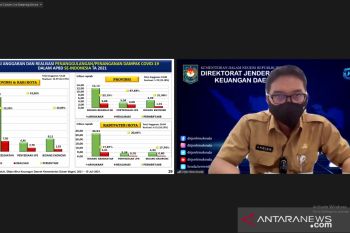Alokasi anggaran dan realisasi inakesda naik signifikan