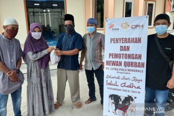 CPM bersama warga sekitar tambang  sembelih 11 hewan kurban