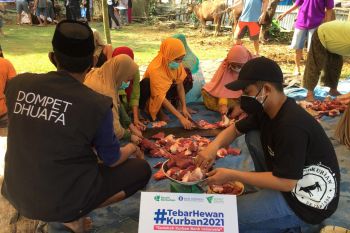 Dompet Dhuafa salurkan daging kurban untuk 1.000 KK kurang mampu di Sulsel