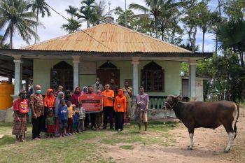Mari Ber-Qurban di Tanah Timor NTT salurkan kurban di masjid pelosok