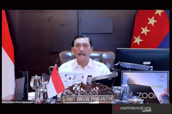Luhut: Varian delta tersebar lebih cepat di wilayah industri dibandingkan nonindustri