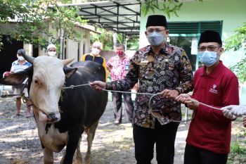 Sleman menggelar Tebar Kurban di masjid yang belum pernah sembelih sapi