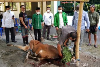 PPP NTB menyalurkan daging kurban untuk warga miskin terdampak PPKM