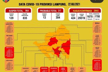 Dinkes catat 424 penambahan kasus COVID-19 di Provinsi Lampung
