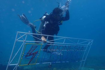 PLN Group bersama BPSPL Denpasar dan Pokmaswas tanam 1.000 bibit karang di laut Pandanan KLU